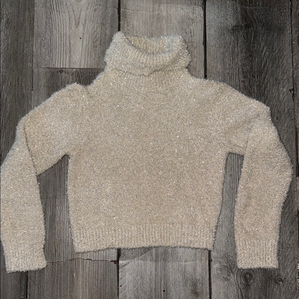 Cozy Cream Turtleneck Sweater sparkly crop